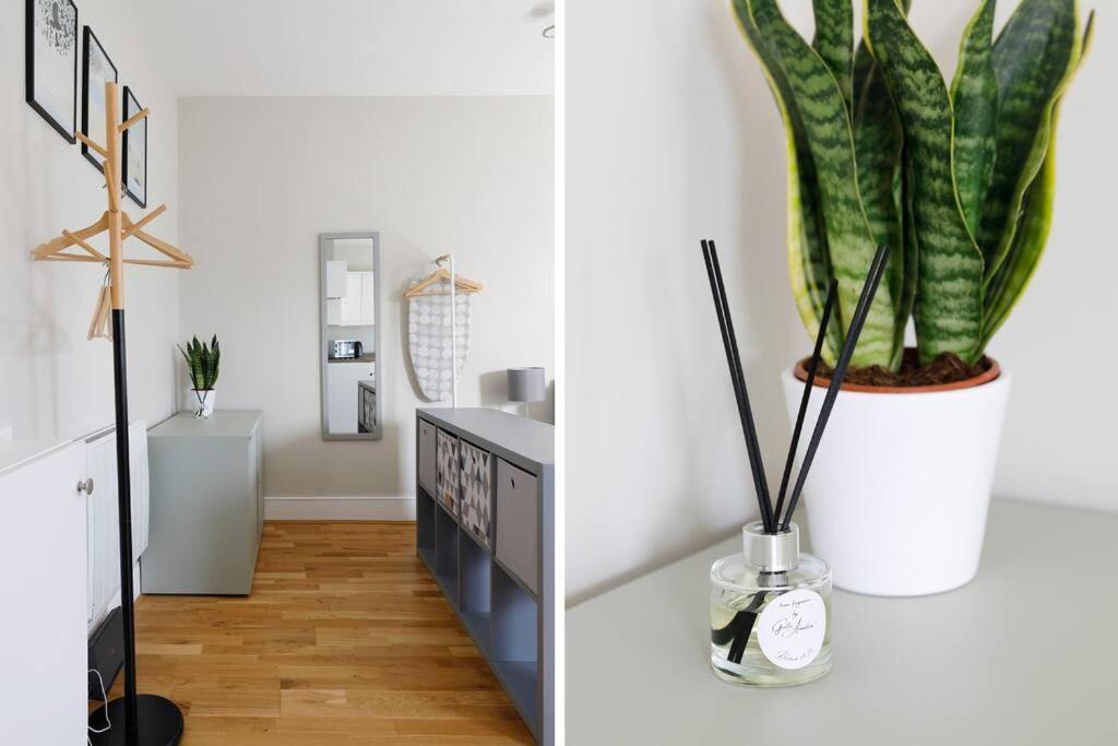 Cosy Studio Flat Moments From The Beach, Kemptown برايتون المظهر الخارجي الصورة